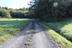 Javna pot JP620-571 v Čepincih